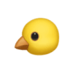 kidstype-chick