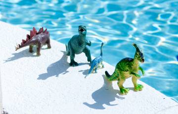 storytime_for_level_5_dinosaur_land